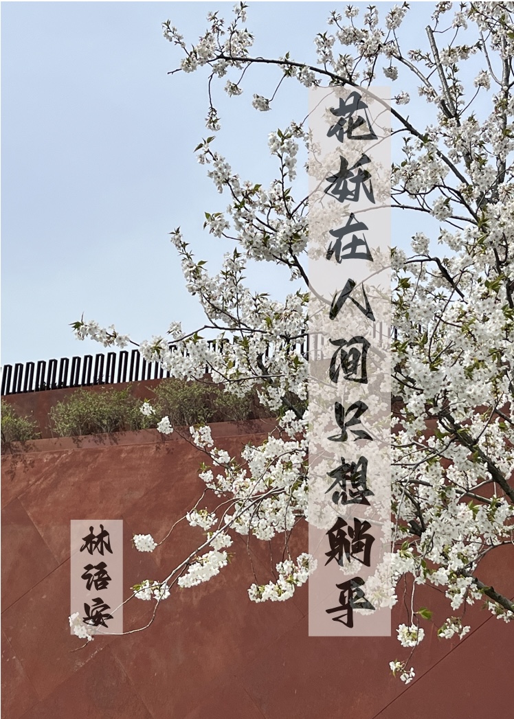 花妖在人间只想躺平