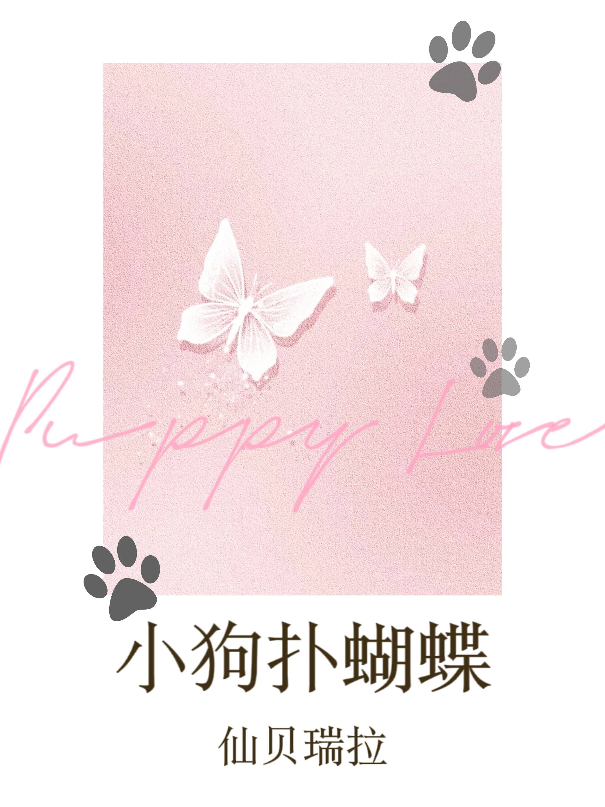 小狗扑蝴蝶看图写话二年级